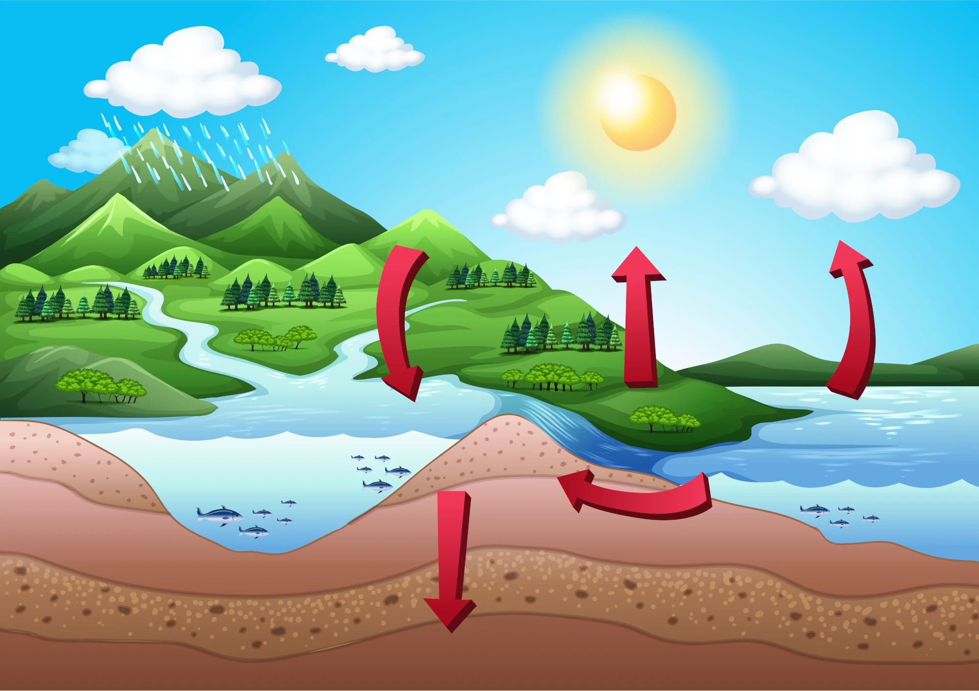 Wasserkreislauf der Erde für Kinder gezeichnet. Der Boden, das Wasser und der Himmel mit roten Pfeilen, wie der Kreislauf funktioniert.