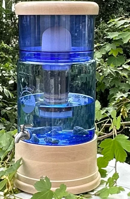 AcalaQuell Smart mit Glastank in blau und Ahorn Echtholz Sockel und Deckel im grünen Garten.