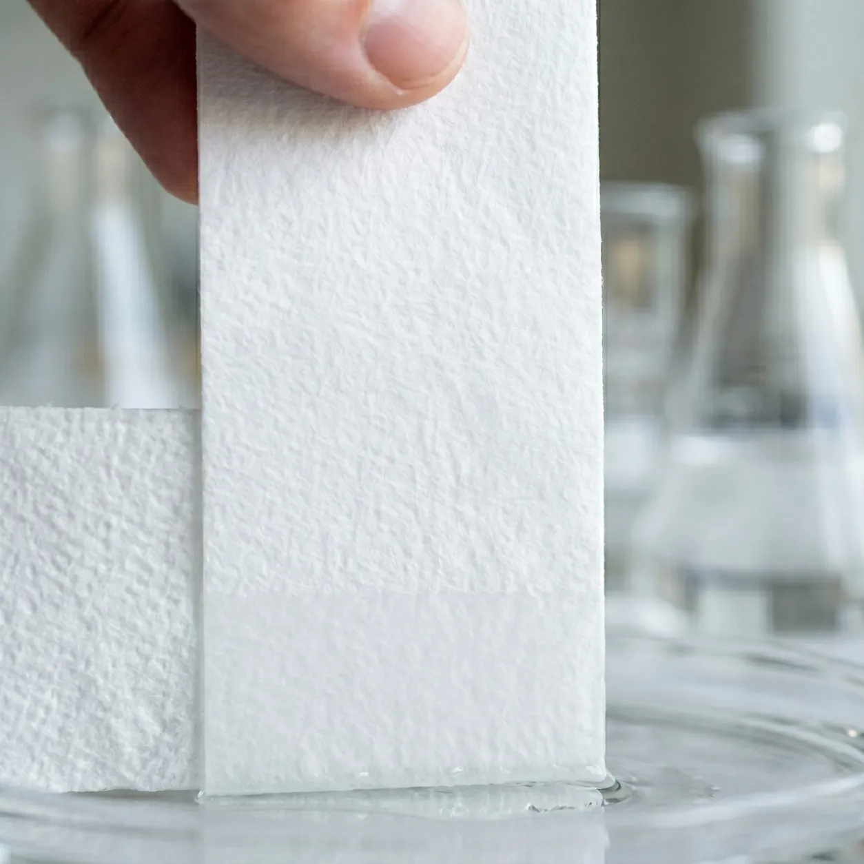 Ein Papiertuch wird in eine kleine Pfütze gehalten und man sieht dass es Wasser an dem Papiertuch Entlang wandert
