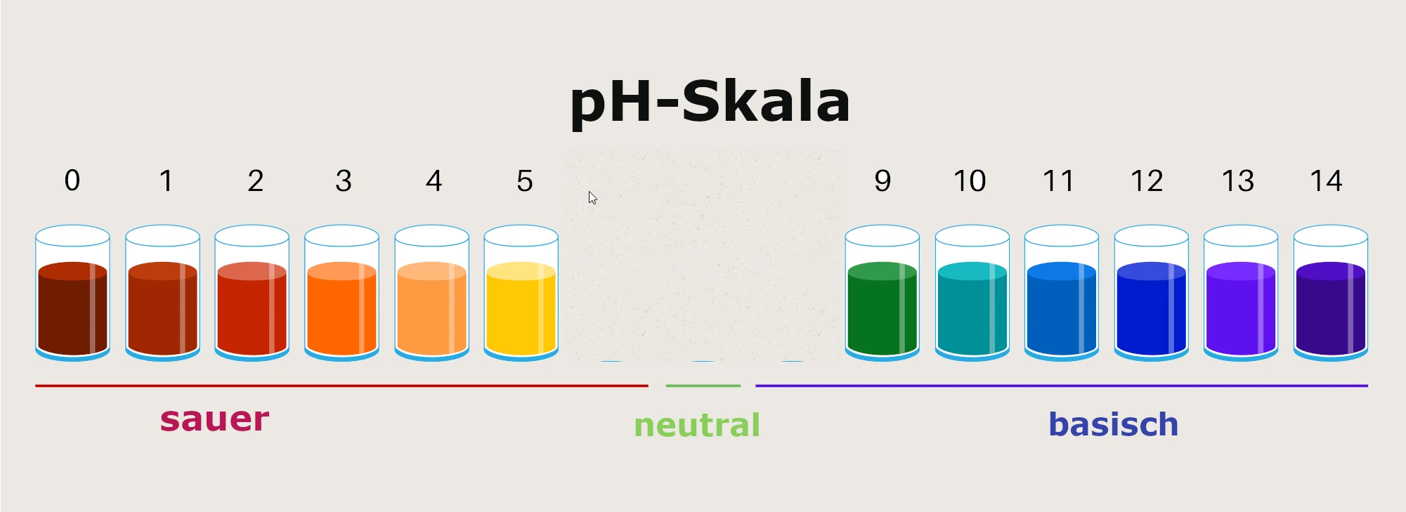 PH Skala von sauer bis basisch mit verschieden farbigen kleinen Töpfen dargestellt.