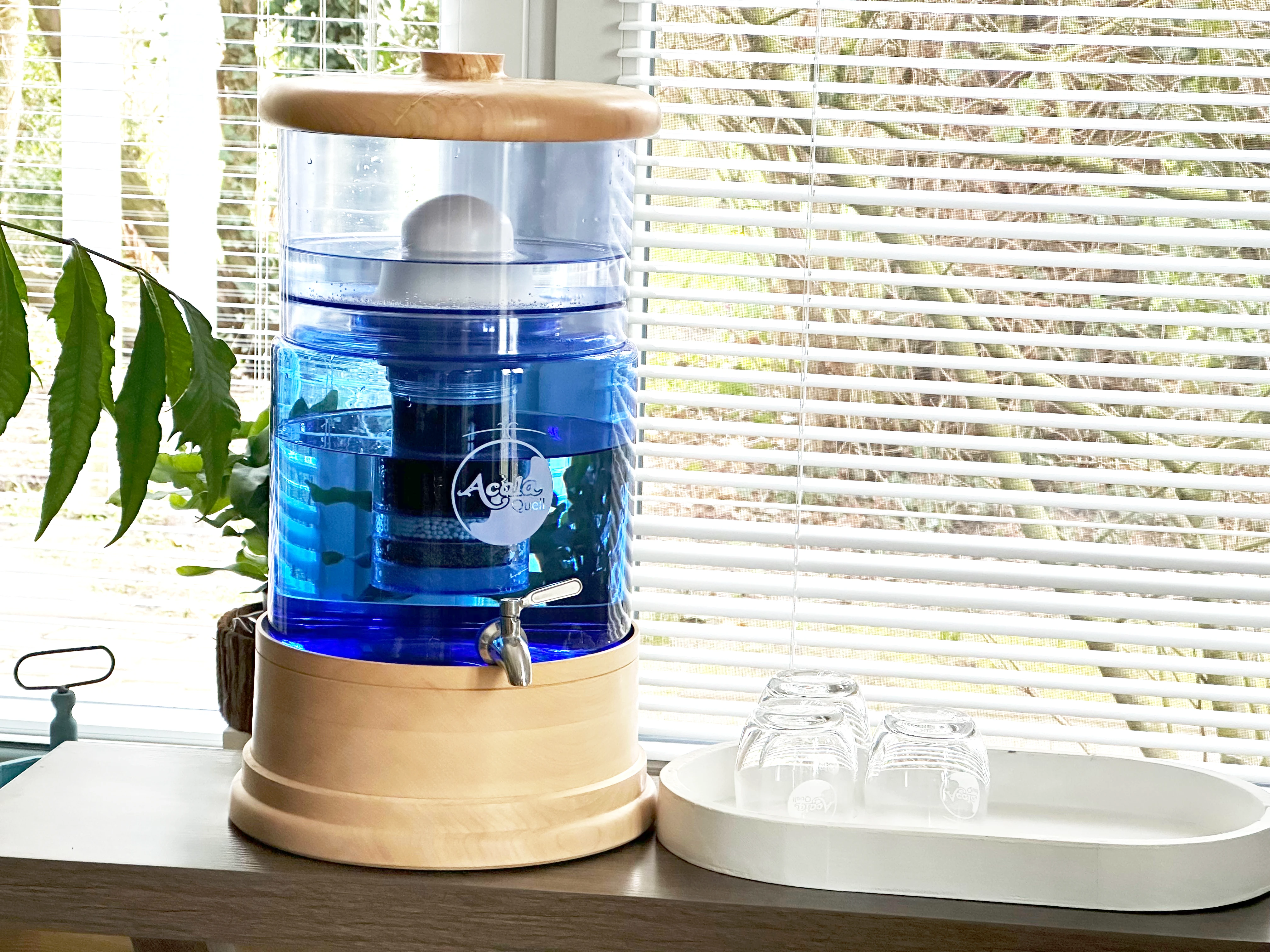 Acala Wasserfilter Smart mit blauem Glas und Ahorn Holzsocke und Deckel steht auf tisch und daneben Wassergläser