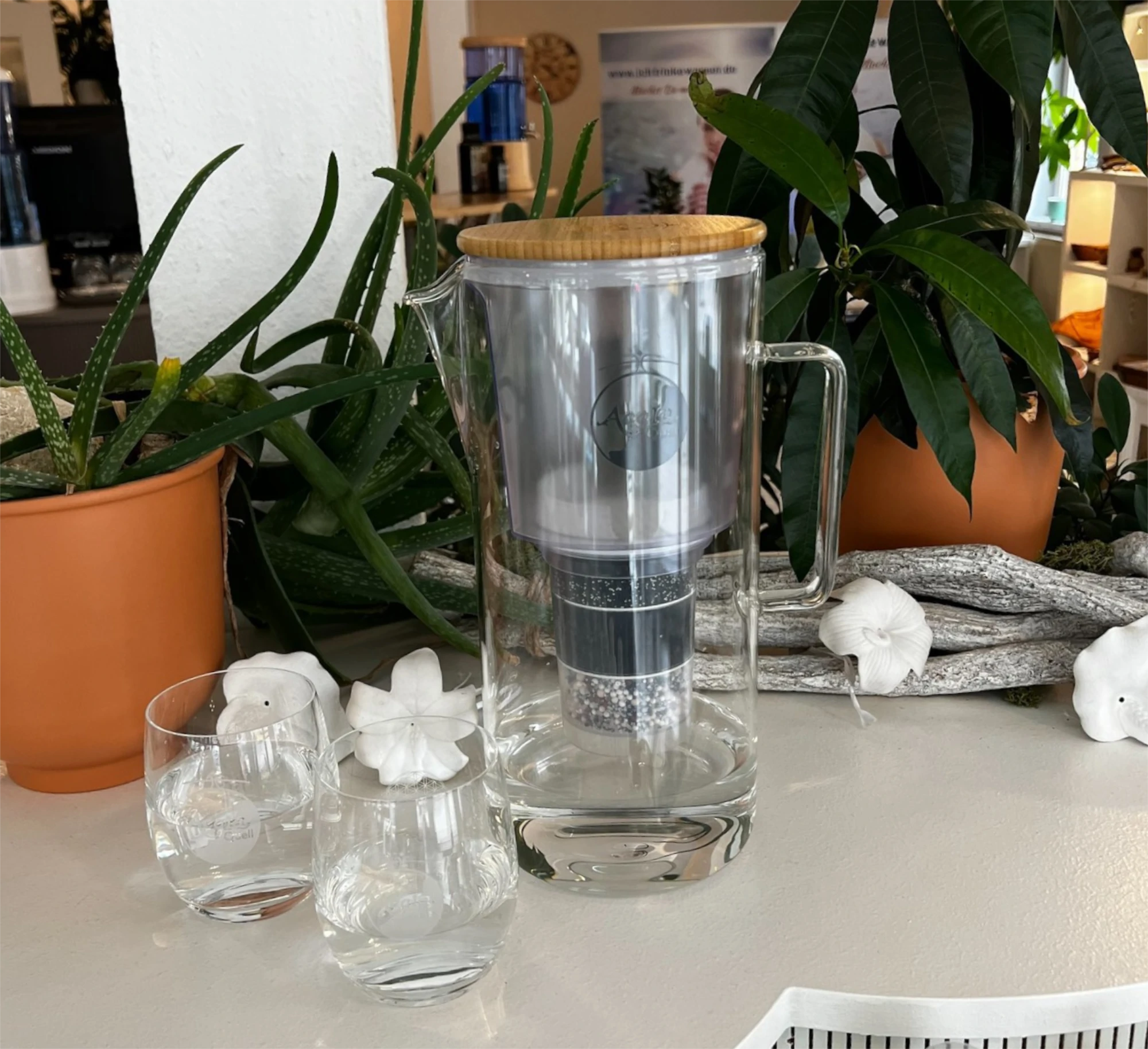 Zu sehen ist die Silizia Wasserfilter Kanne aus Glas von Acala auf einem weißen Tisch mit Grünpflanzen und zwei Trinkgläsern.