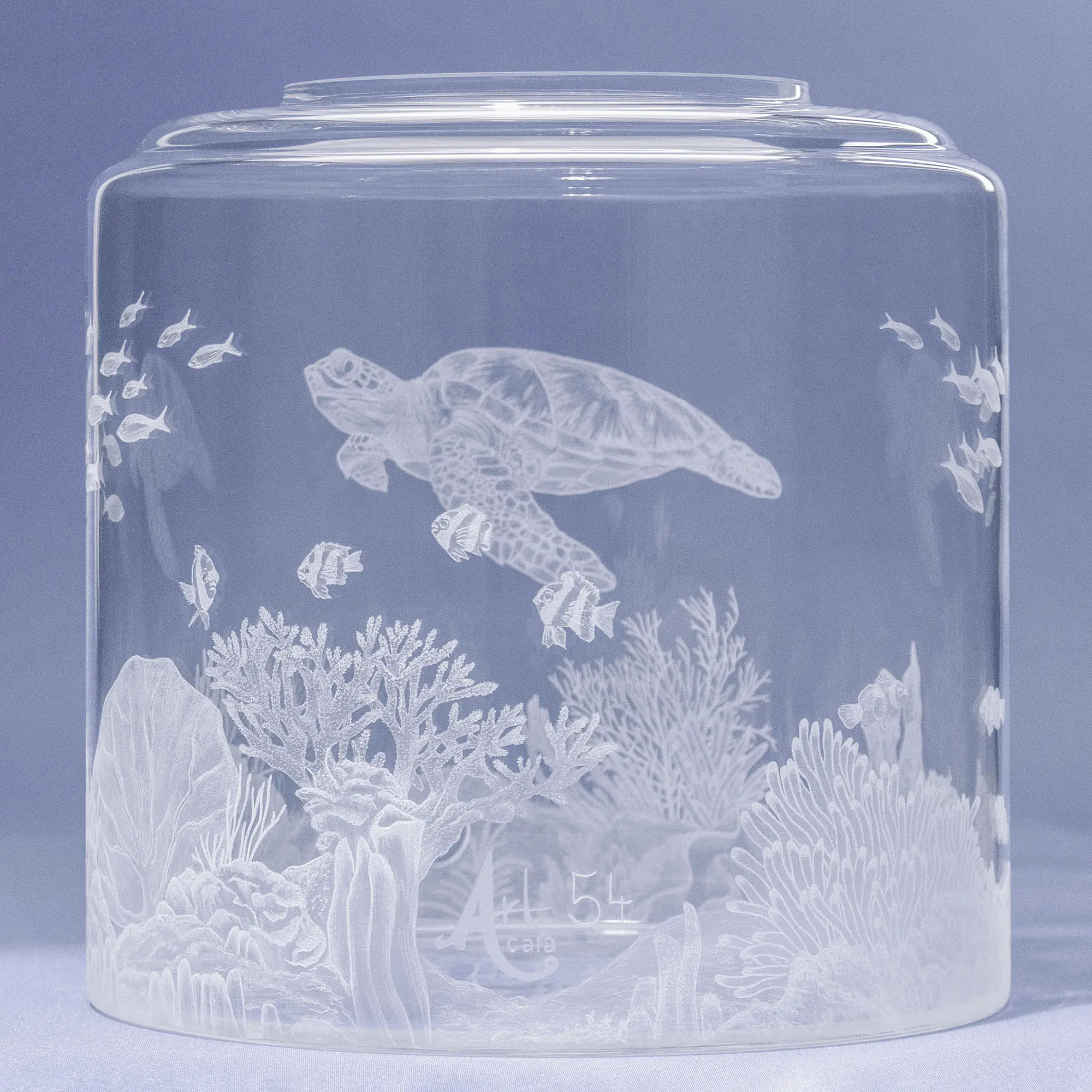Auf dem Bild ist ein Wassertank für Acala Wasserfilter mit einer Handgravur die ein Riff mit Fischen,Korallen und einer schönen Schildkröte dargestellt wird,hinten links