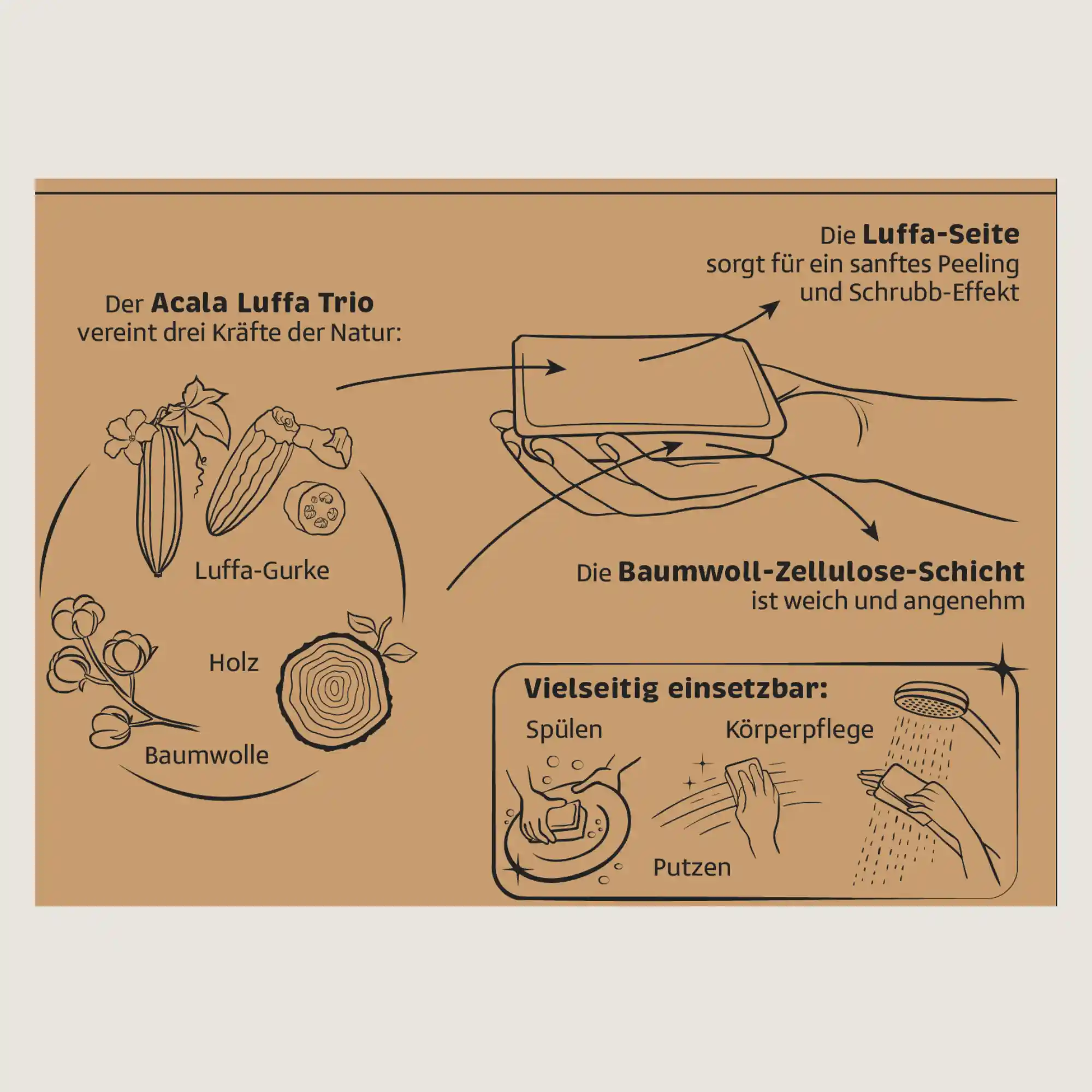 Karton für den Schwamm aus Luffa Gurke, weißer Hintergrund.