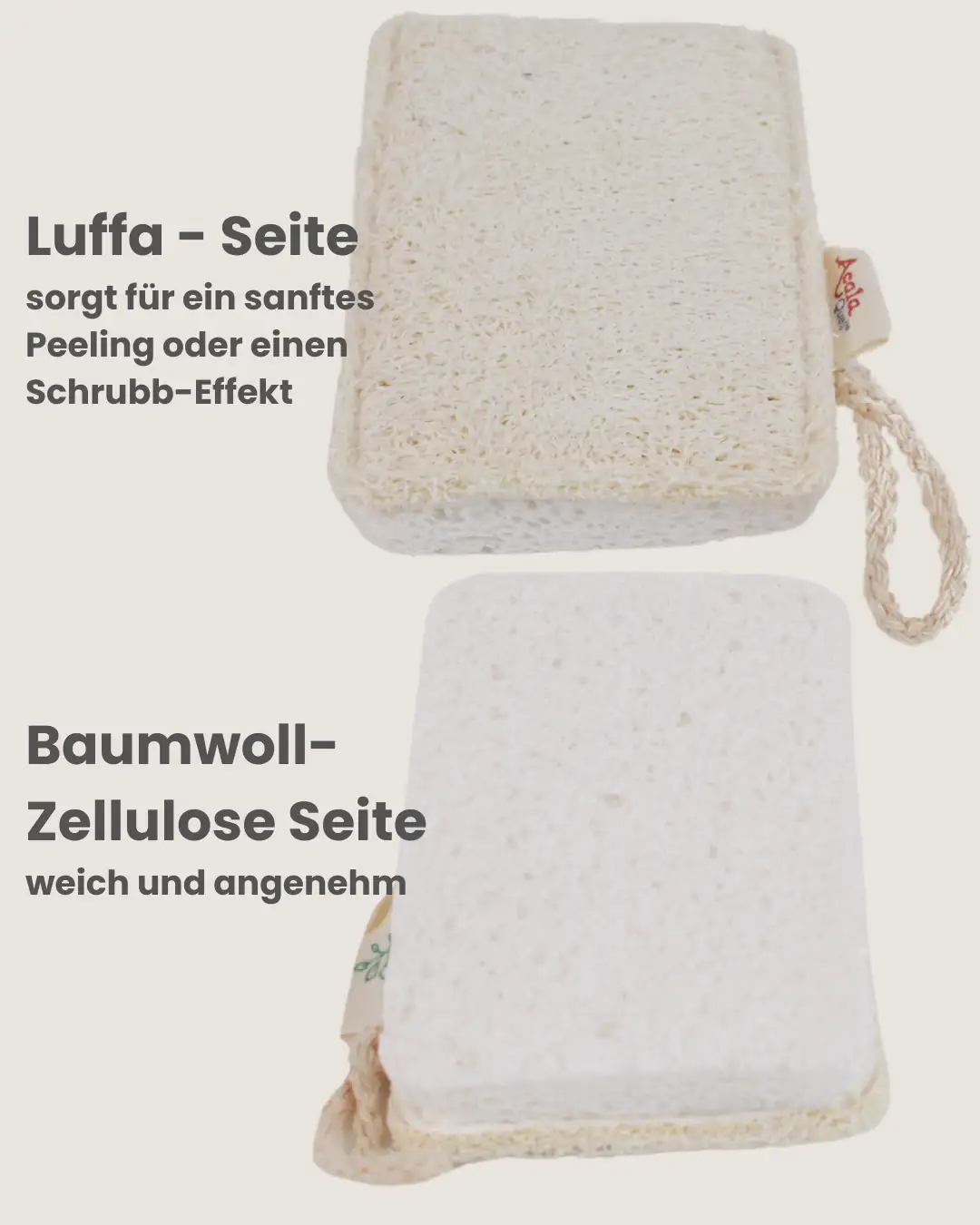 Zwei Luffa Schwämme von zwei verschiedenen Seiten, daneben ist die jeweilige Seite beschrieben.
