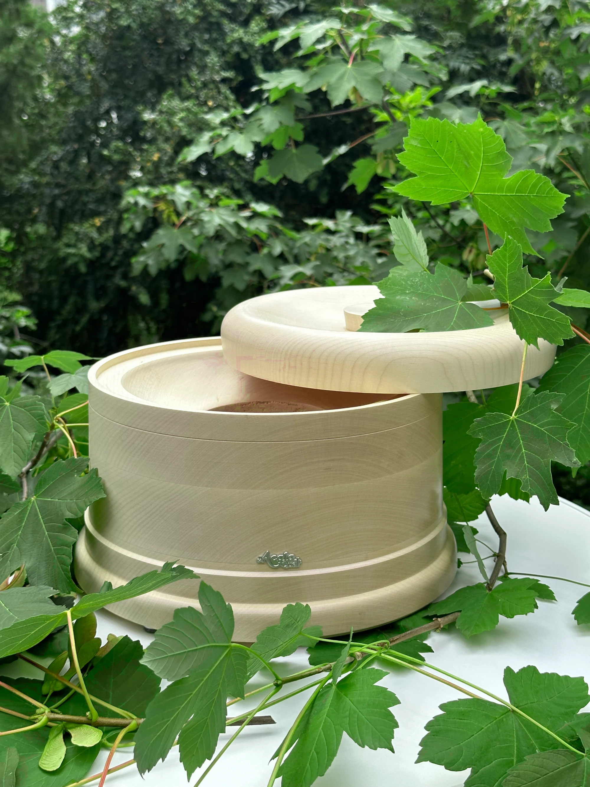 Acala_ Ahorn _Yakawa_rund Sockel und Deckel für die Acala Stand Wasserfilter aus Echtholz Ahorn, von grünen Blättern umgeben.