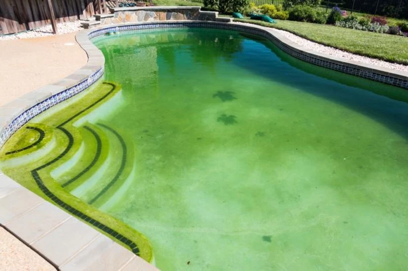 Großer Pool mit Treppen komplett grün durch Algen.Das Bild ist ein Teil des Acala Blogbeitrages: Algen, eine Plage oder nützlich?