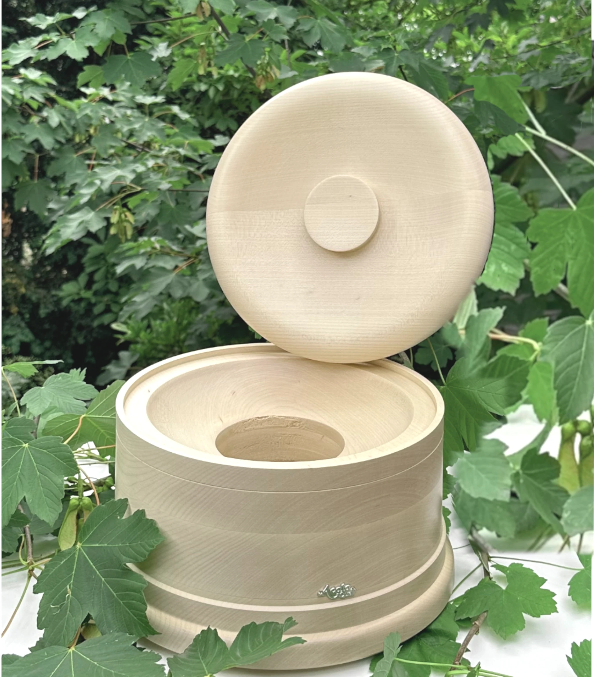 Sockel und Deckel für die Acala Stand Wasserfilter aus Echtholz Ahorn, von grünen Blättern umgeben.
