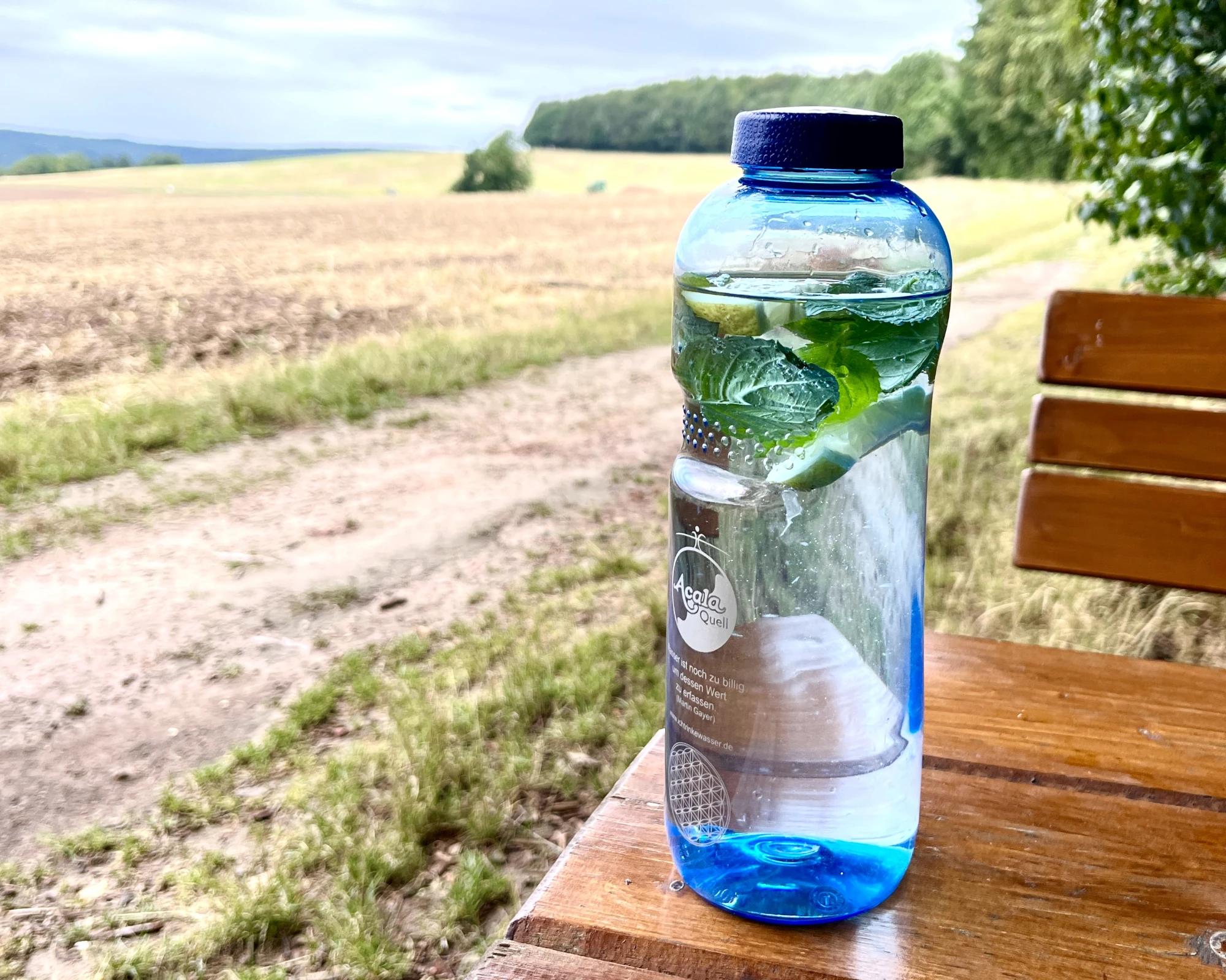 Wiederverwendbare Flaschen und Wasserfilter: Wie viel Plastik sparen Acala Kunden wirklich ein? Tritan Trinkflasche in blau mit blauem Schraubdeckels steht auf einem Holztisch. Im Hintergrund sieht man ein Feld, auf der Flasche sieht man das Acala Logo und die Blume des Lebens.