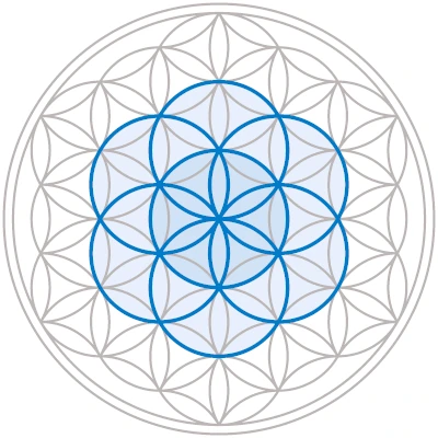 Symbol der Blume des Lebens in blau weiß vor weißem Hintergrund.