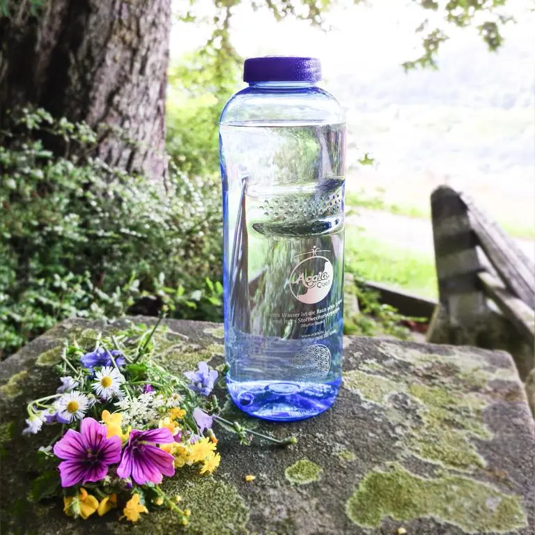 Eine mit Wasser gefüllte blaue Tritan Trinkflasche Grip 1L auf einer Steinmauer im Wald.ieht die Grip Flasche von Acala.