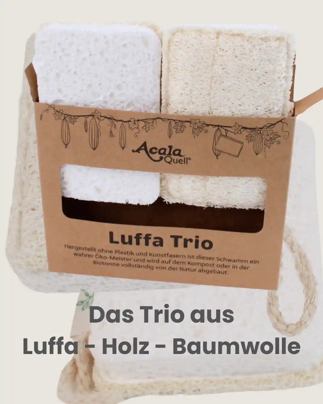 Offener Karton aus dem zwei Luffa Schwämme herausragen, darunter steht das Trio aus Luffa, Holz und Baumwolle.