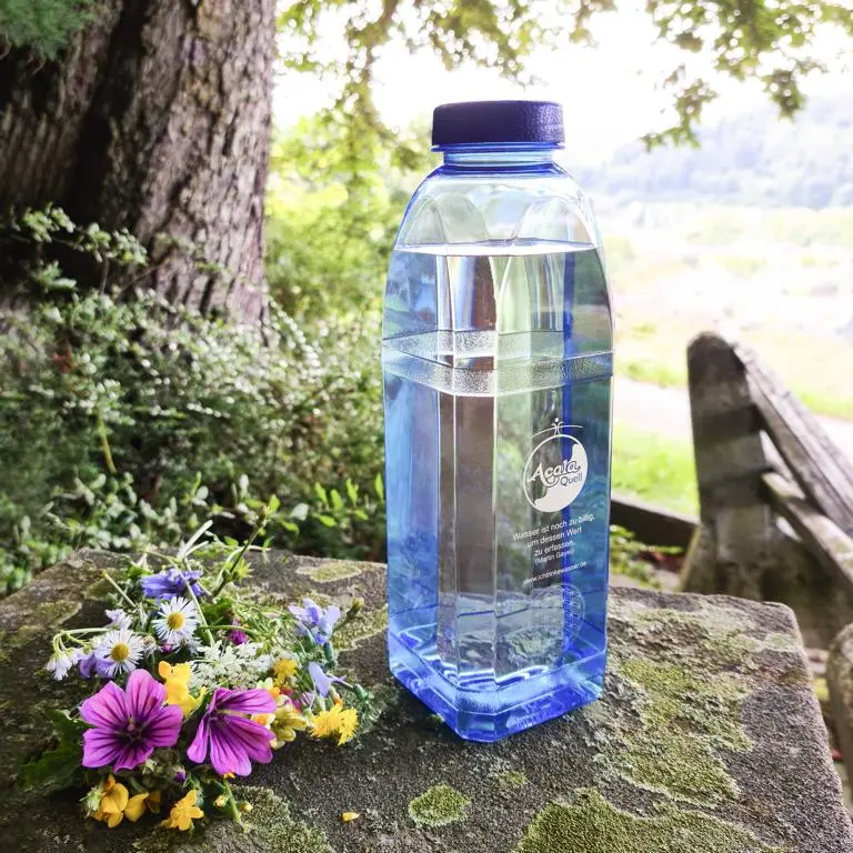 Zu sehen ist eine mit Wasser gefüllte blaue Tritan Trinkflasche. Sie steht auf einem Stein, im Hintergrund sieht man einen Baumstamm und eine grüne Wiese. Vor der Flasche liegen verschiedene bunte Blumen. Man sieht die 8 Kant Flasche von Acala.