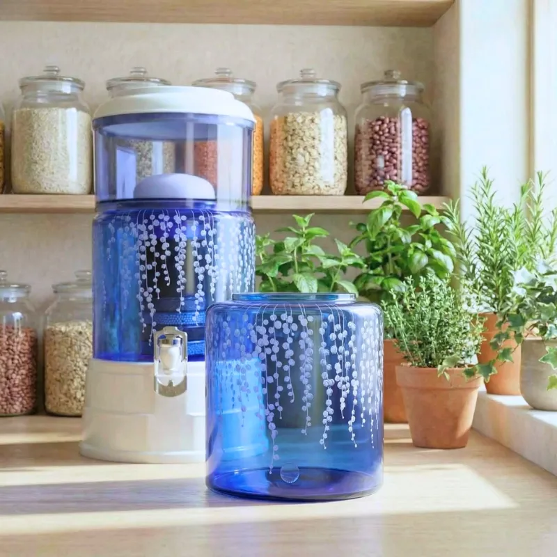 5 Liter Glas No.26 Senecio rowleyanus  mit Mini im Hintergrund