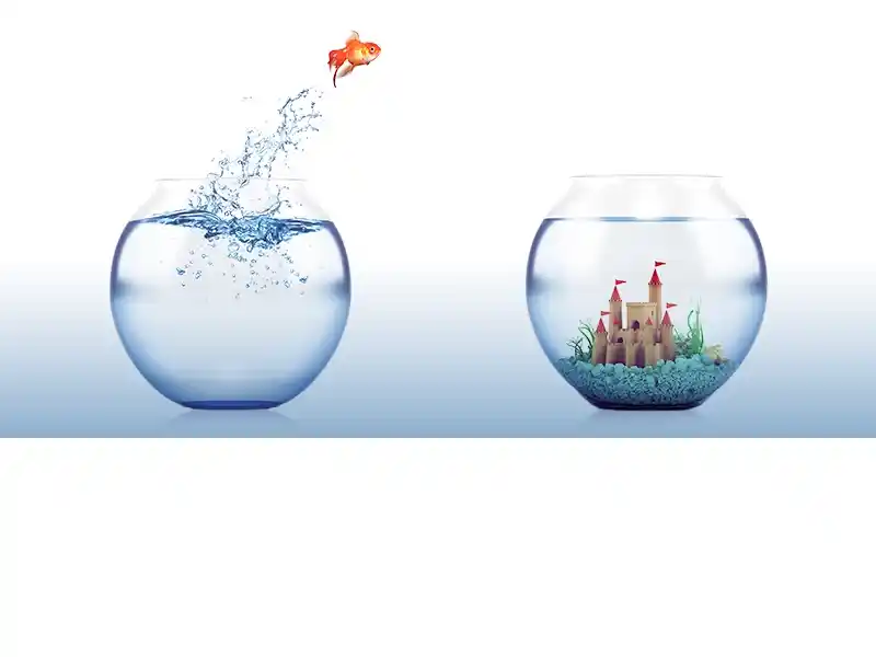 Acala - Ihr Vorteil zwei Fischgläser, ein Fisch springt von einem Glas mit nur Wasser in ein Gls in dem eine Kleine Burg und Pflanzen sind