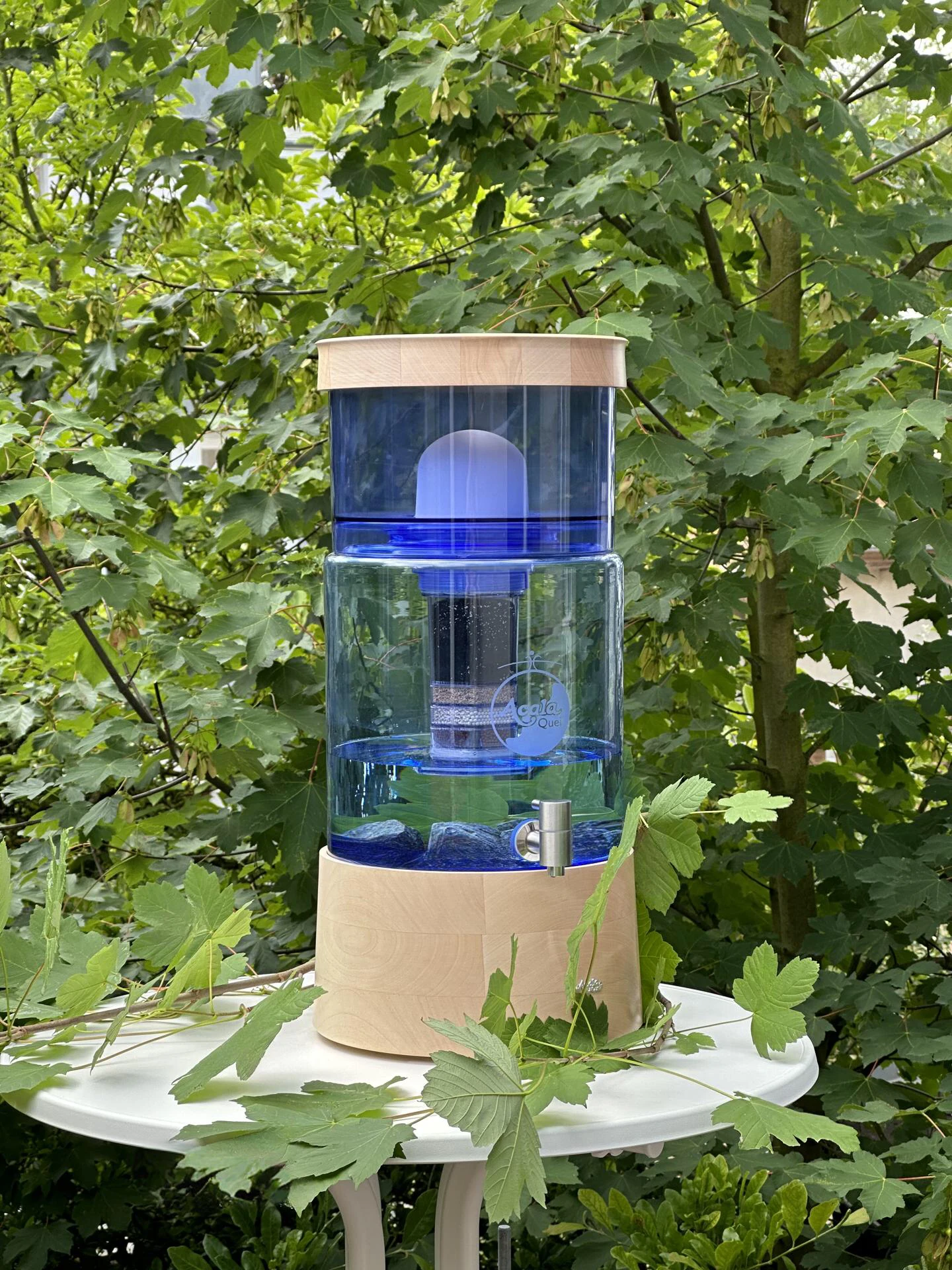 Acala Standwasserfilter Smart mit blauem Glastank, Sockel und Deckel aus Ahorn Echtholz steht auf einem Stehtisch vor einem Ahorn Baum. Blätter liegen rund um den Filter. 