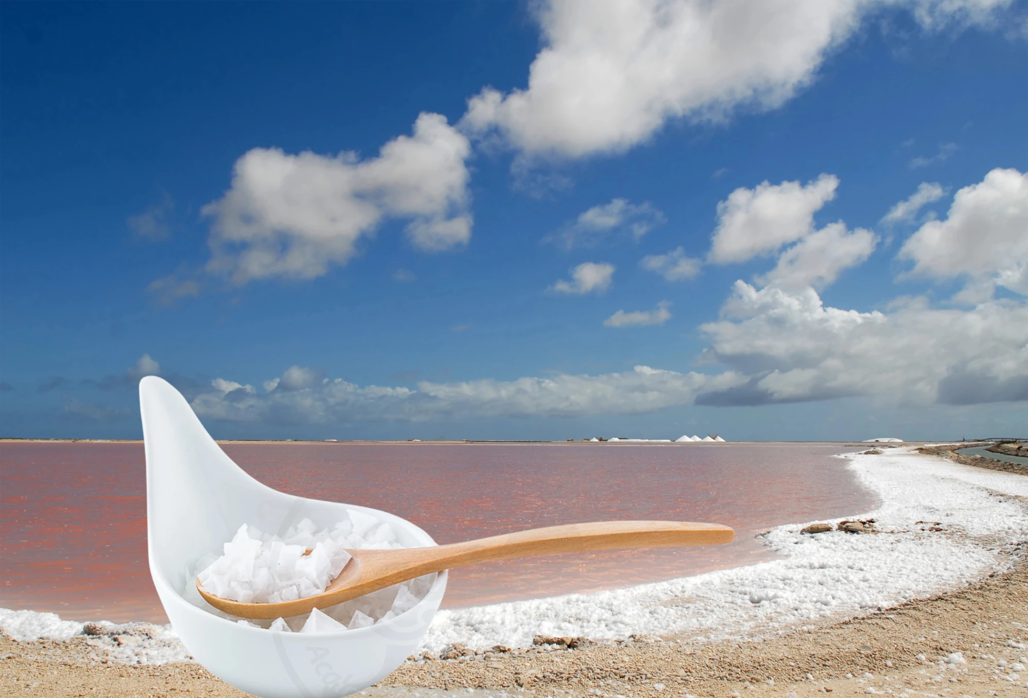 Ein Becher voll Fleur de Sel, vor dem meer in dem es abgebaut wird