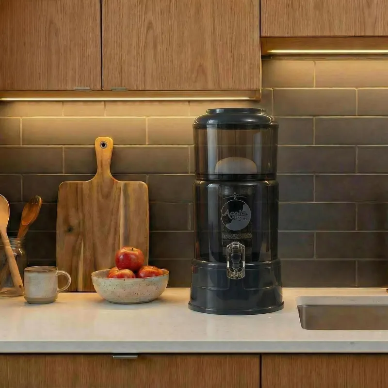 Wasserfilter mini Anthrazitfarbener Sockel und Deckel und Glas Steht in einer Küche links davon Äpfel ein Arbeitsbrett eine Tasse und Kochlöffel