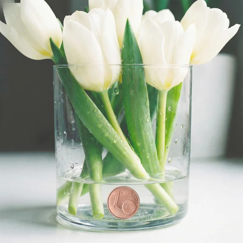 Ein Strauß weißer Tulpen in einer Glasvase mit einem Eincentstück