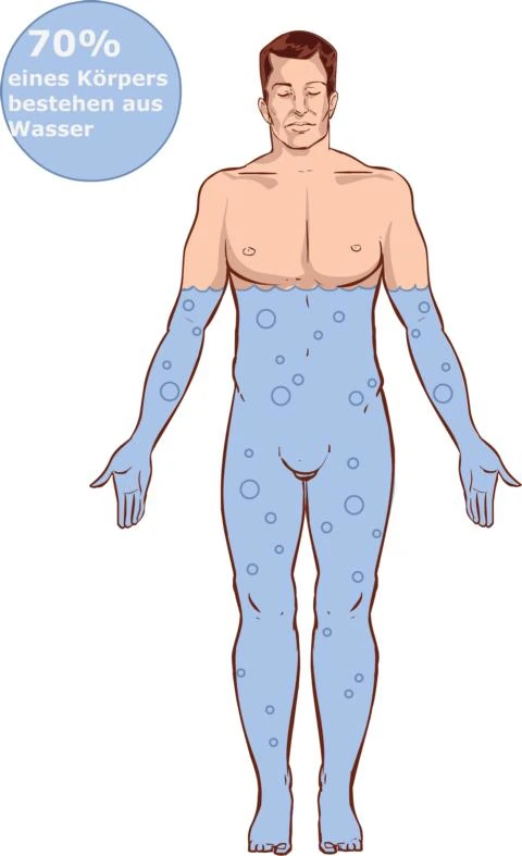 Zu sehen ist gezeichneter Mann vor weißem Hintergrund. Er ist nackt, aber zu ¾ mit Wasser gefüllt. Daneben in einer Blase steht „der menschliche Körper besteht zu etwa 70% aus Wasser“. Das Bild gehört zu einem Acala Blog.