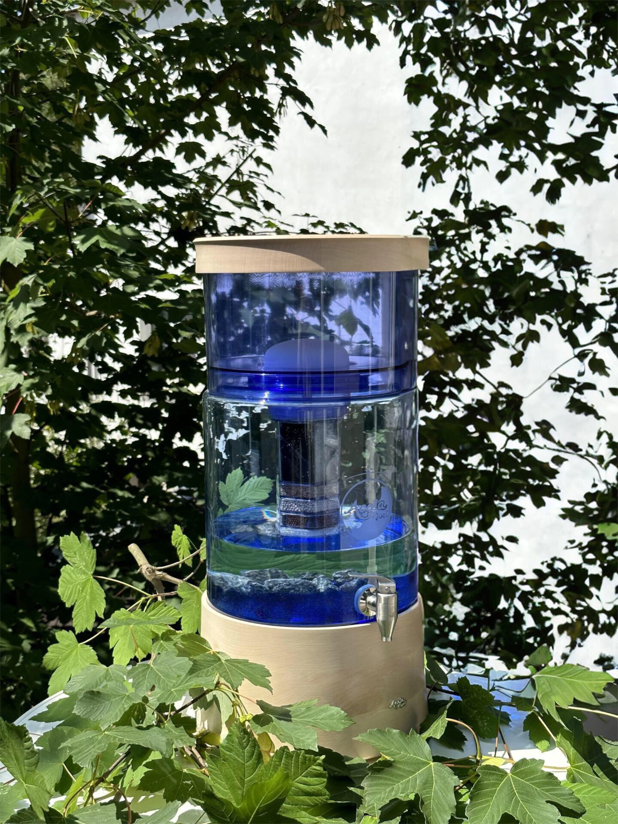 Acala Standwasserfilter mit Glastank in blau und Ahorn Echtholz Sockel und Deckel von grünen Ahorn Blättern umgeben.