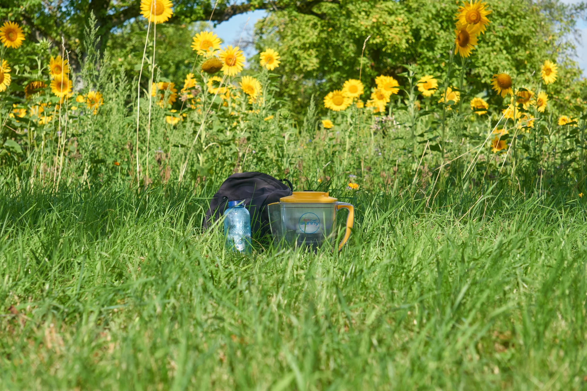 blaue Tritanflasch,gelber Wasserfilter Sunna vor einem Feld mit Sonnenblumen