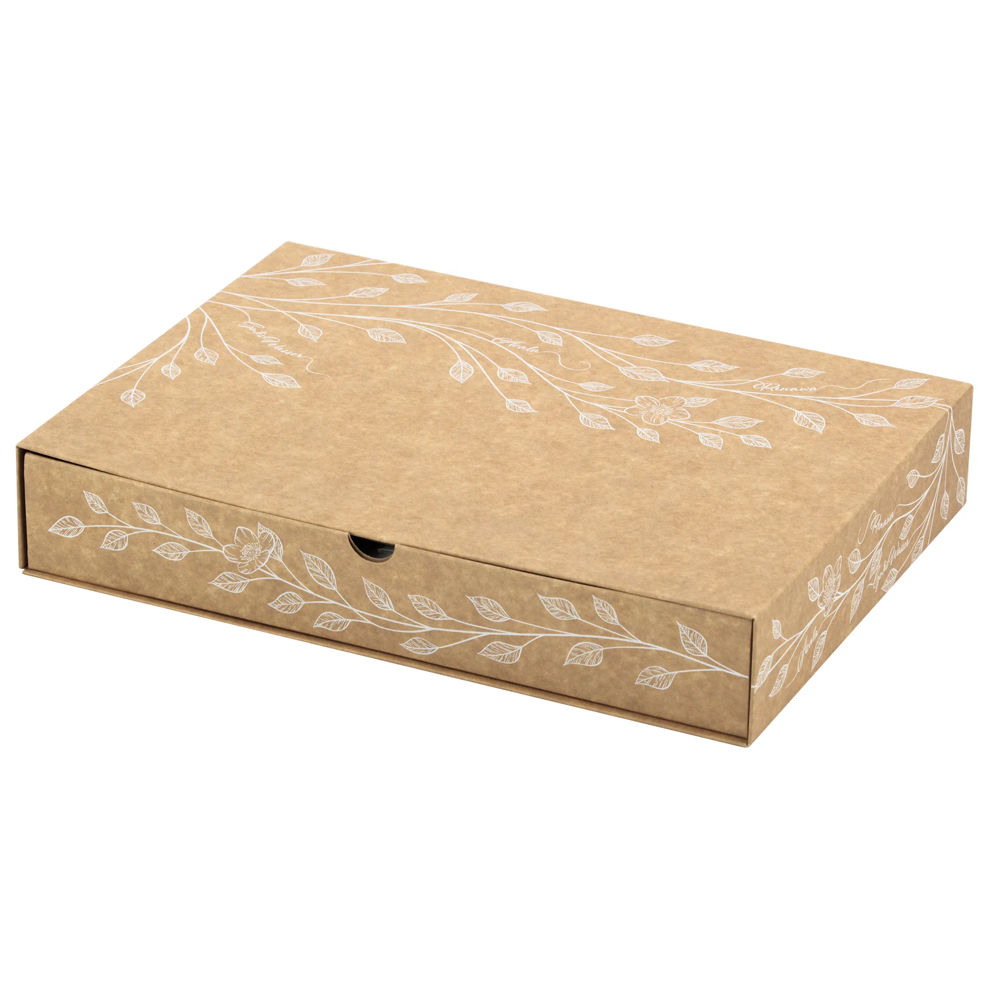 Man sieht die Verpackung für die ReNaWa Nachfüll-Komponenten für 1 Jahr. Der Karton ist Naturbraun, bedruckt mit weißen Blätterranken und Infos zum Inhalt.