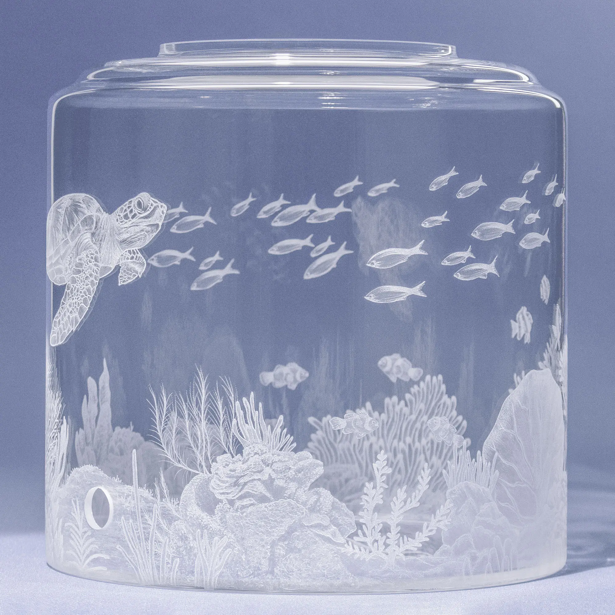 Auf dem Bild ist ein Wassertank für Acala Wasserfilter mit einer Handgravur die ein Riff mit Fischen,Korallen und einer schönen Schildkröte dargestellt wird,die linke Seite